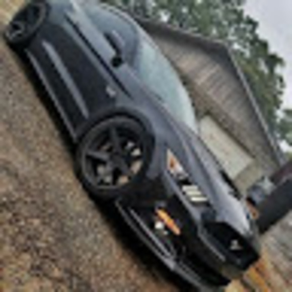 Meet your Posher, Demi - Picture 1 of 1